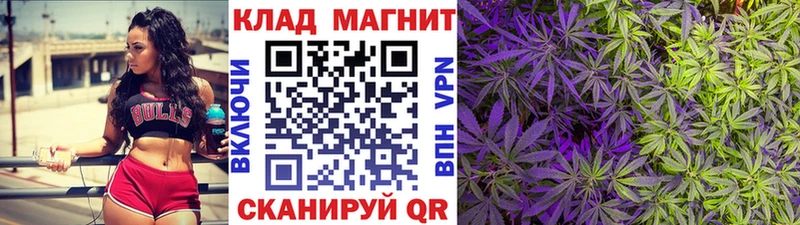 Магазины продажи наркотиков Бор Амфетамин  Каннабис  МЕФ  ГАШ 