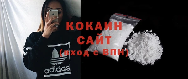 Альфа ПВП Верея