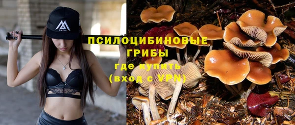 тгк Верхний Тагил