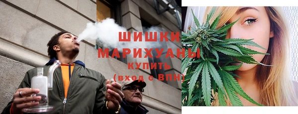 Альфа ПВП Верея
