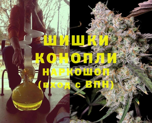 Альфа ПВП Верея