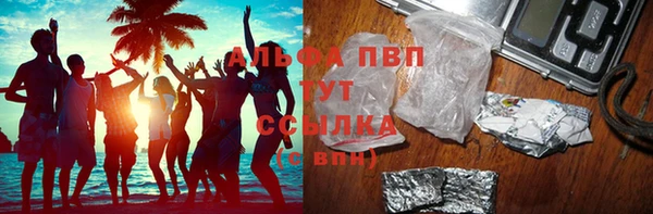 Альфа ПВП Верея