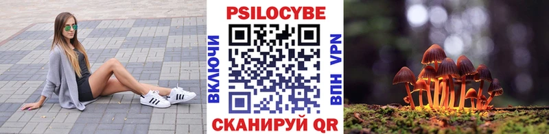 Галлюциногенные грибы Magic Shrooms  купить   Бор 