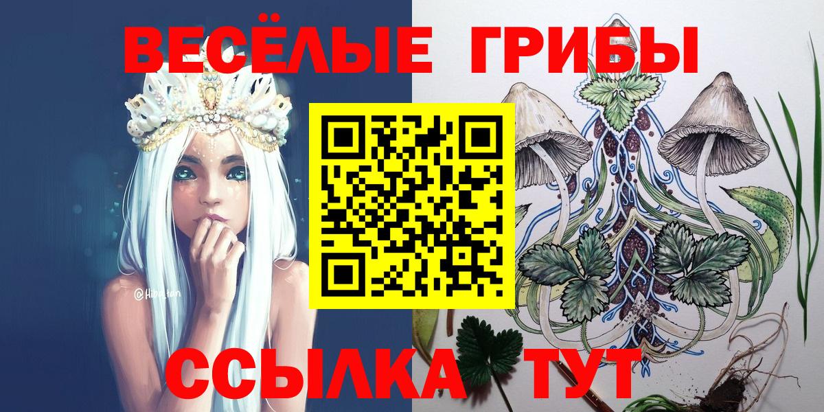 Галлюциногенные грибы Psilocybe Бор