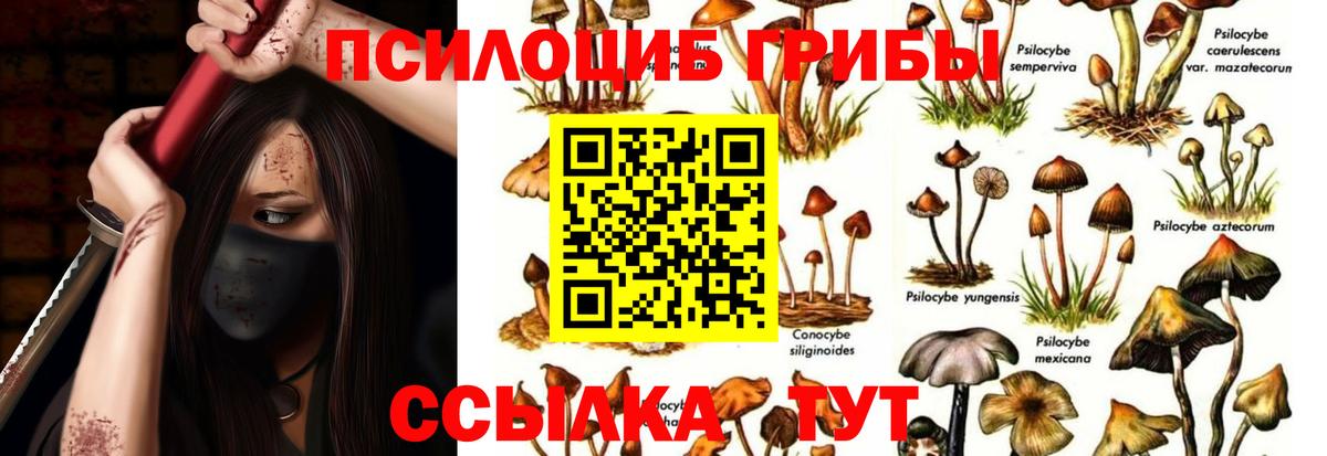 Бор  где продают наркотики  Вход с VPN  Псилоцибиновые грибы мицелий 